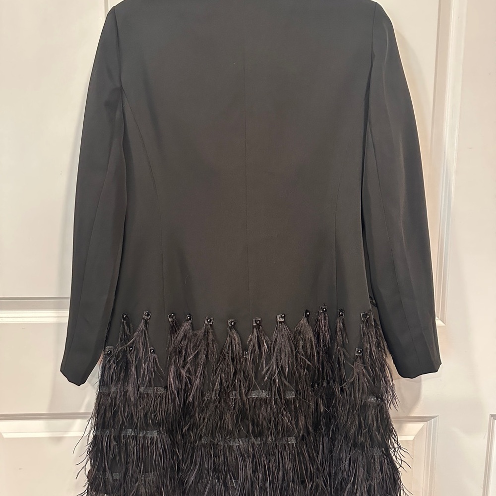 ZCRAVE Fifth Ave Feathers Dress - Picture 15 of 17